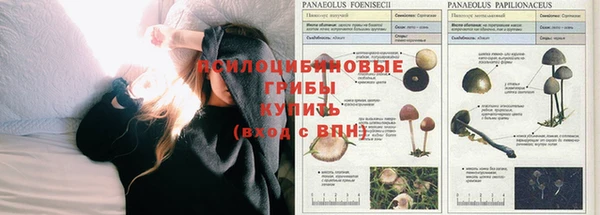 кокаин перу Балахна