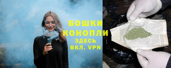 ПСИЛОЦИБИНОВЫЕ ГРИБЫ Балабаново