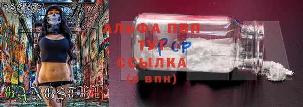 ПСИЛОЦИБИНОВЫЕ ГРИБЫ Балабаново