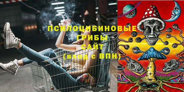 ECSTASY Баксан