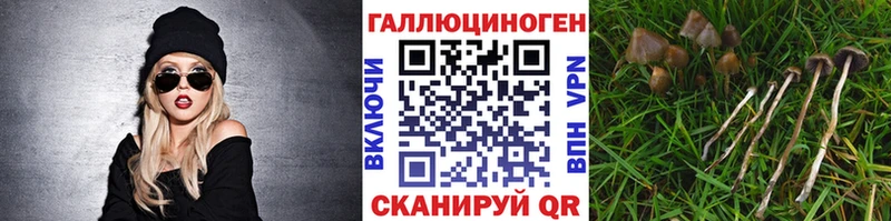 ссылка на мегу ссылки  Волгореченск  Псилоцибиновые грибы Cubensis  купить наркотики сайты 