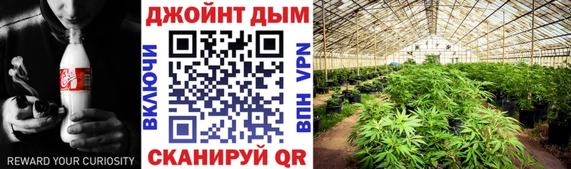 цена наркотик  Волгореченск  Каннабис LSD WEED 
